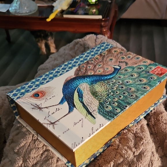 Peacock Design Box - Picture 5 of 7